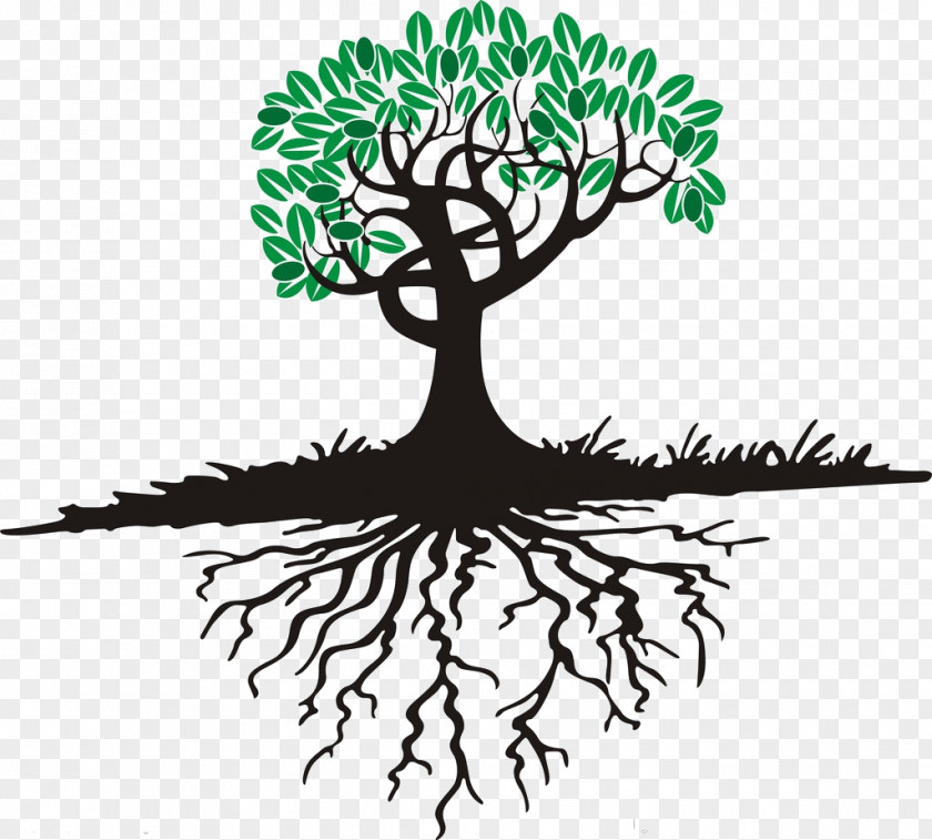 Cartoon Trees Tree Root PNG