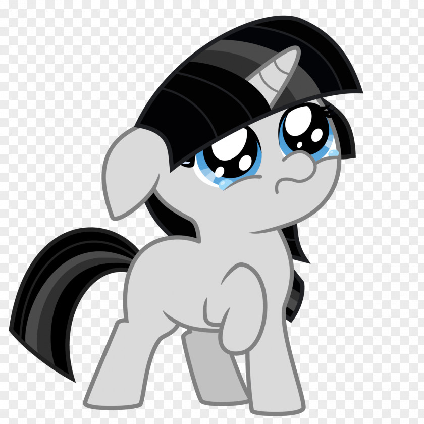 I Am Sorry Pony Twilight Sparkle Applejack Rainbow Dash Princess Cadance PNG