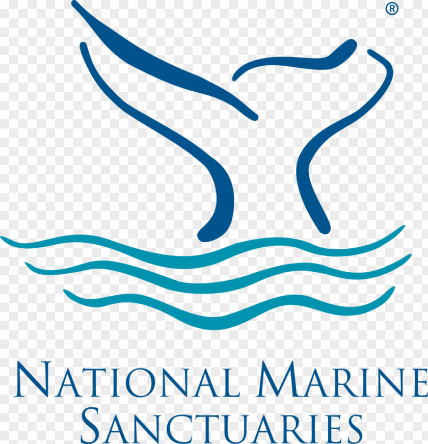 Monterey Bay National Marine Sanctuary United States Stellwagen Bank Greater Farallones Channel Islands PNG