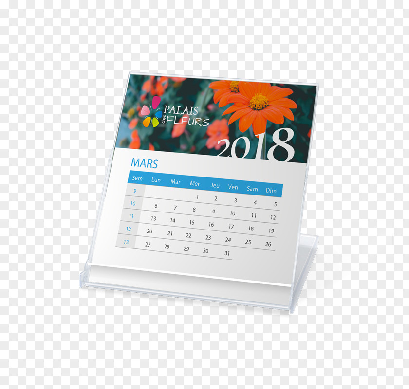 Paper Product Calendar Cartoon PNG