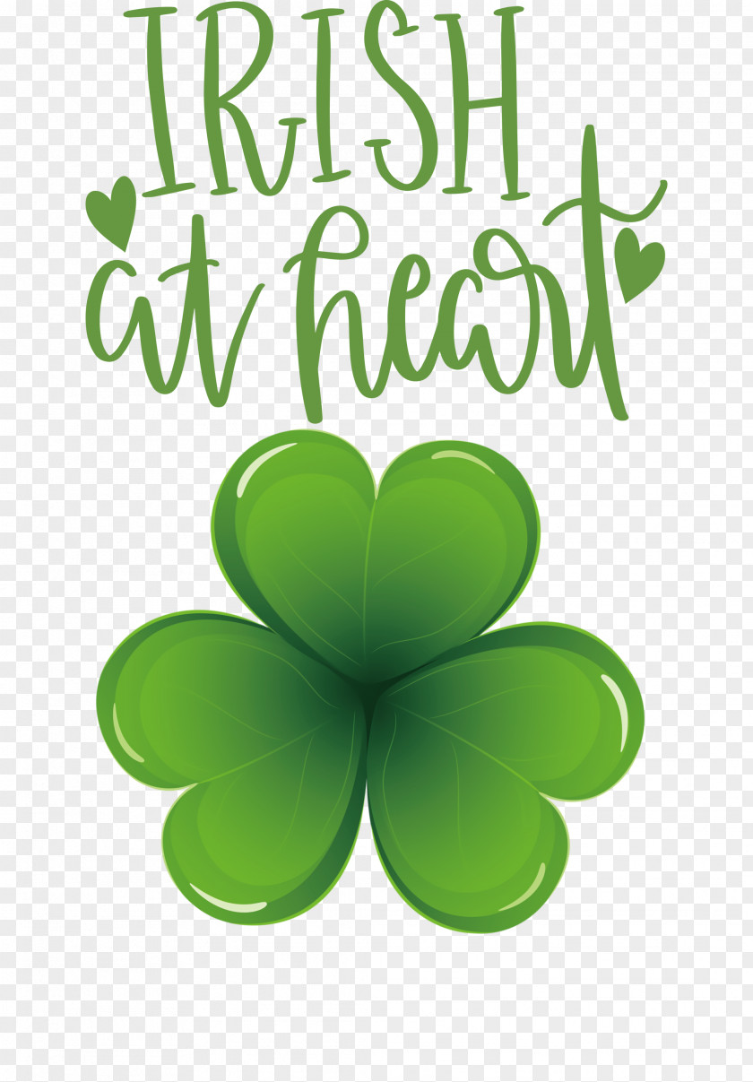 Shamrock Irish Saint Patrick PNG