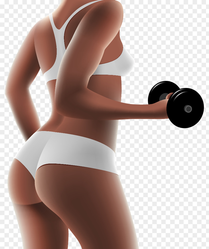 Vector Fitness Woman Physical Dumbbell PNG