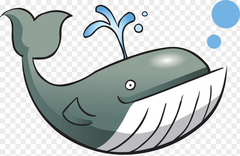 Whale Marine Life Animation Cartoon Clip Art PNG
