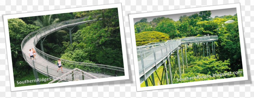 Bus Southern Ridges Recreation Tourist Attraction Fence PNG