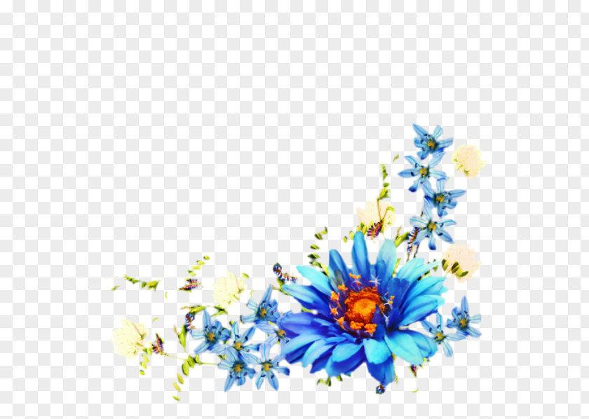 Daisy Herbaceous Plant Flowers Background PNG