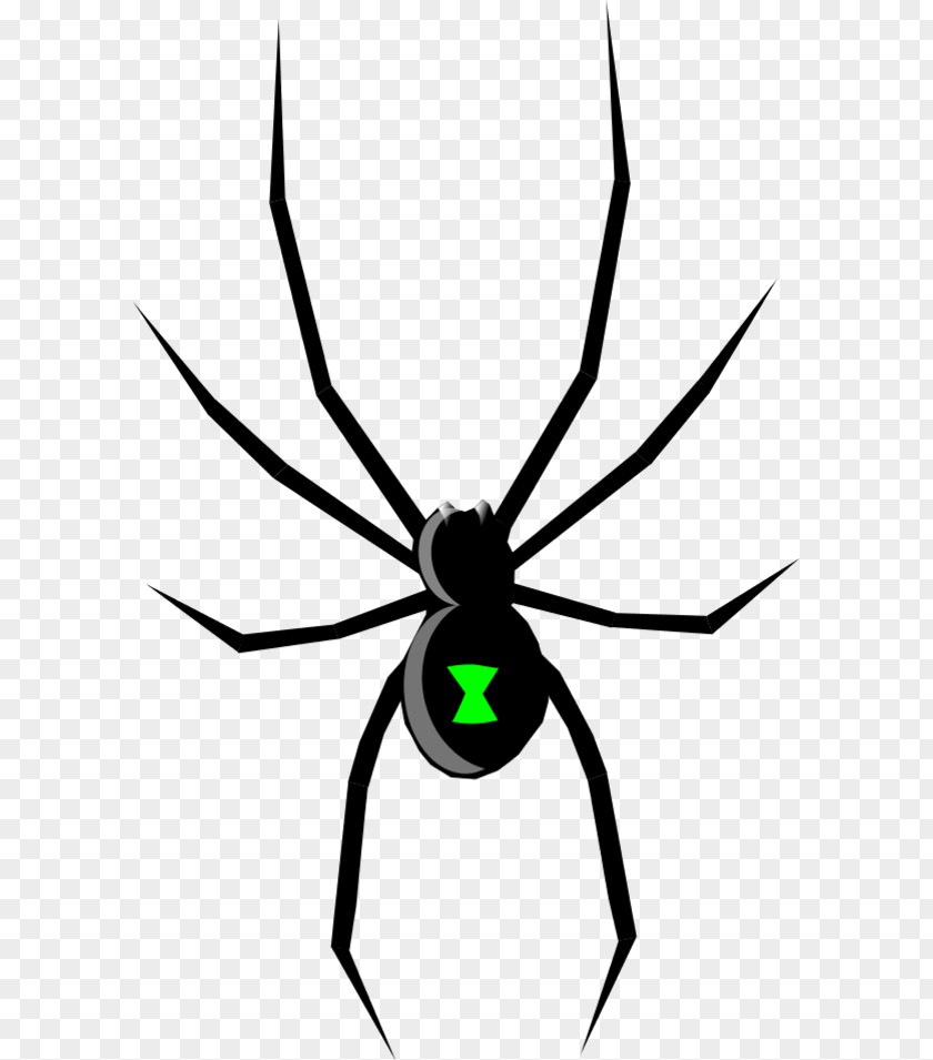 Free Spider Clipart Black Widow Drawing Clip Art PNG