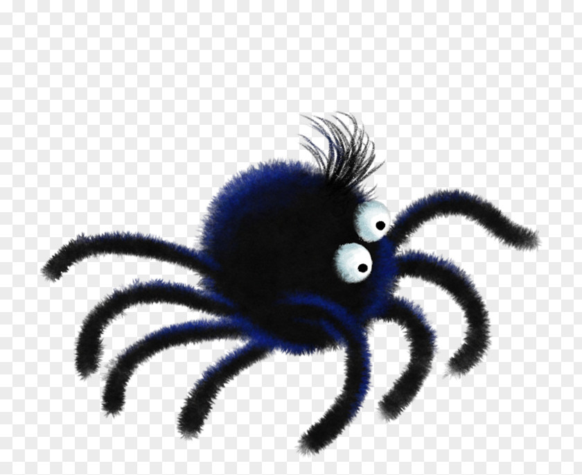 Spider Itsy Bitsy Nursery Rhyme The PNG