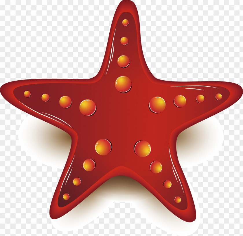 Chinese New Year Festive Element Starfish Chemical PNG