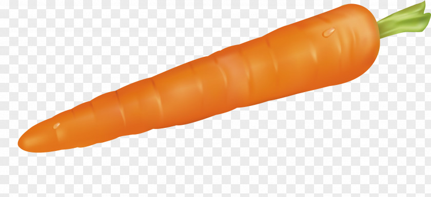 Fresh Vegetables With Carrots Bockwurst Baby Carrot Knackwurst Cervelat Frankfurter Wxfcrstchen PNG