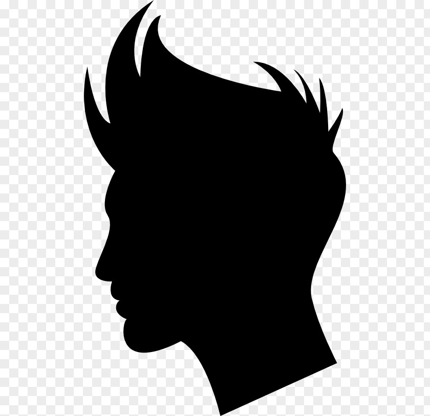 Hair Shapes Hairstyle Silhouette Clip Art PNG