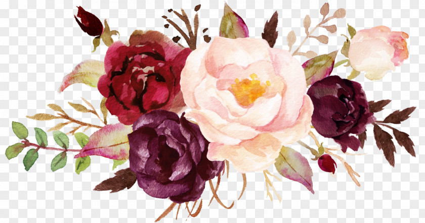 Peony Cabbage Rose Garden Roses Cut Flowers Floral Design PNG