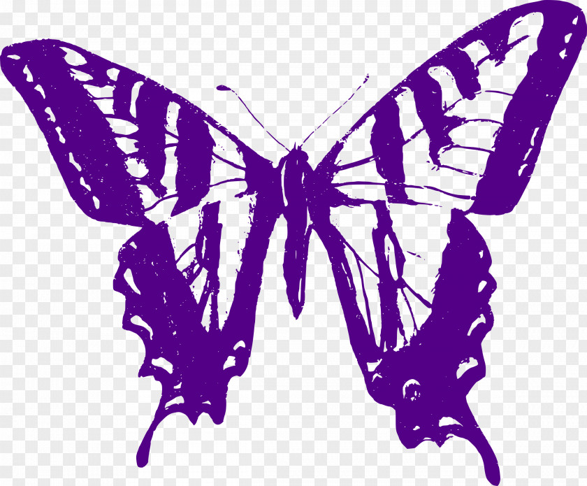 Purple Butterfly Papilio Multicaudata Violet Clip Art PNG