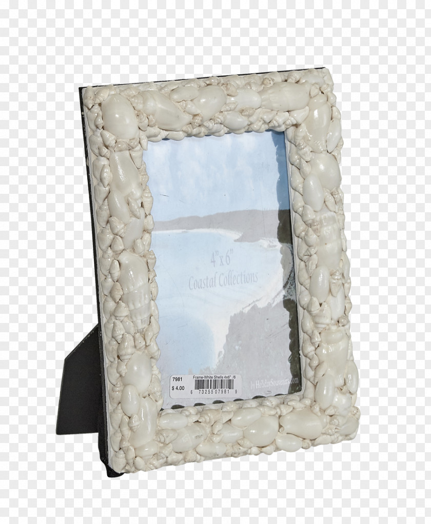 Seashell Picture Frames Window Light PNG