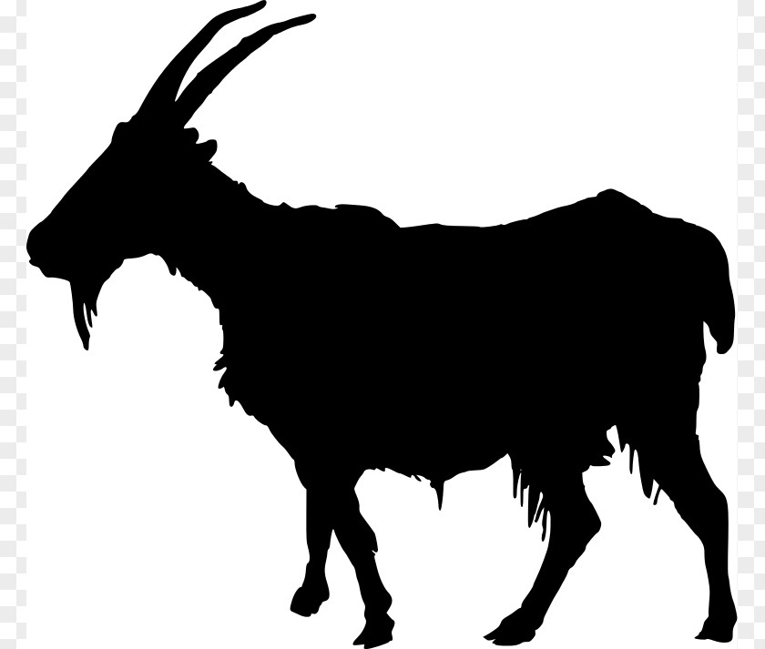 Show Pig Silhouette Boer Goat Sheep Clip Art PNG