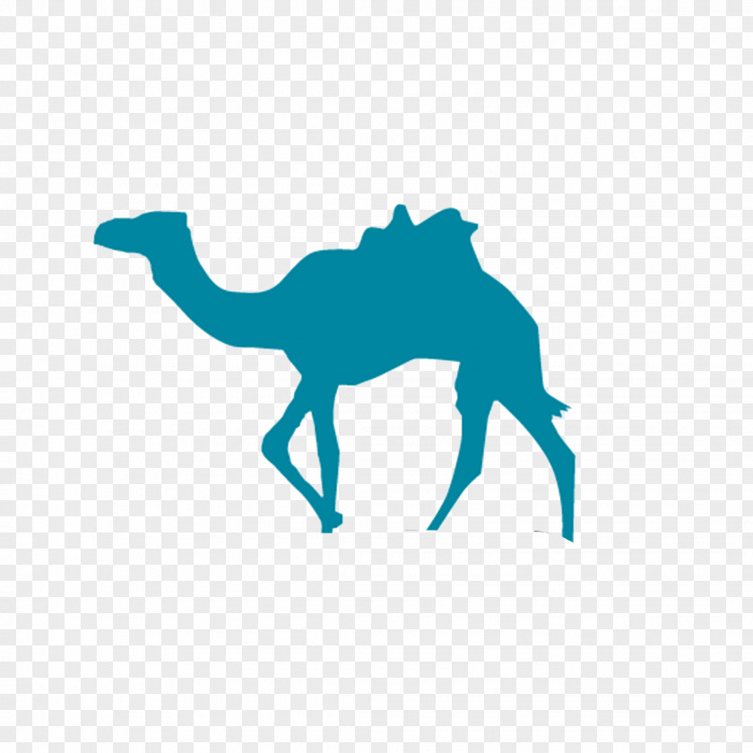 Water Camel Logo Beijing Sanya Qunar Business Hotel PNG