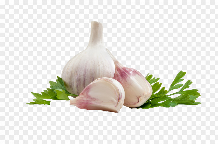 Artist Names Garlic Mediterranean Cuisine Bay Leaf Ingredient PNG