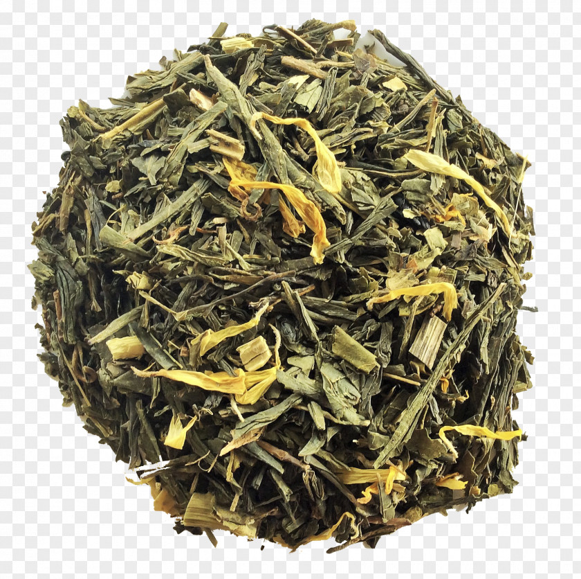 Green Tea Nilgiri Dianhong Golden Monkey Gunpowder PNG