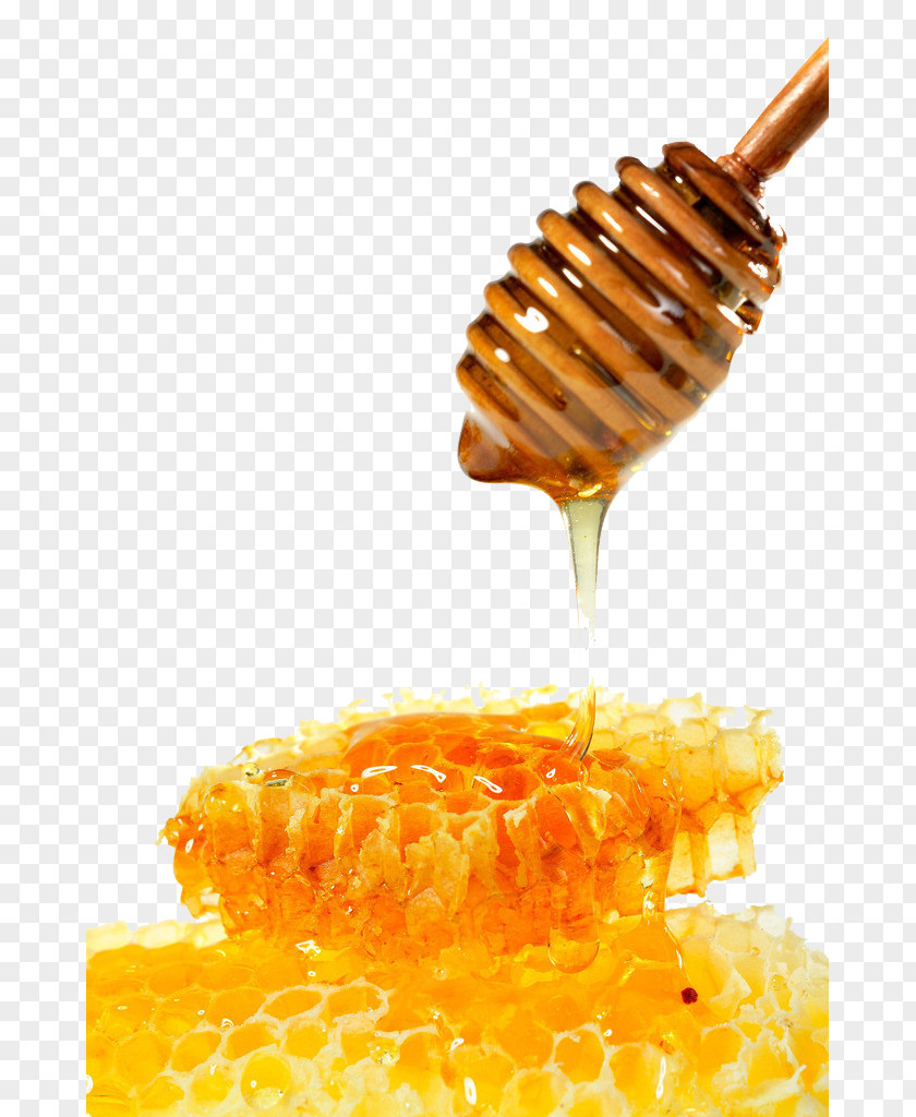 Honey Bee Mu0101nuka Honeycomb PNG