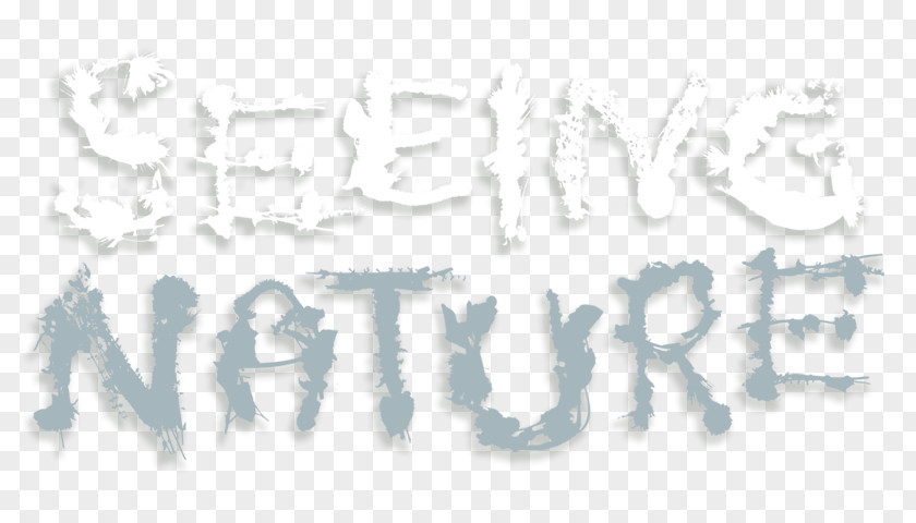 Nature Fonts Logo Brand Angle Font PNG