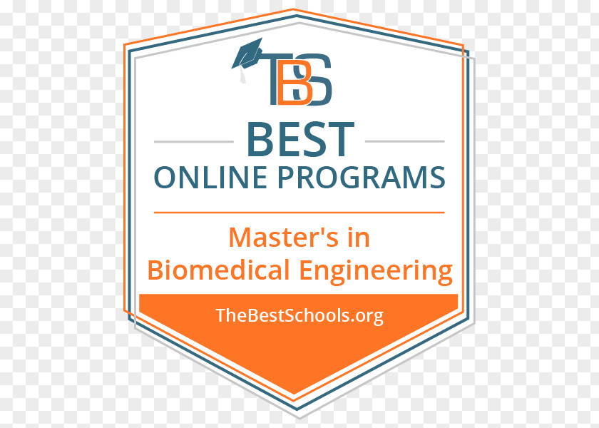 School Bachelor's Degree Master's Academic Bachelor Of Science Online PNG