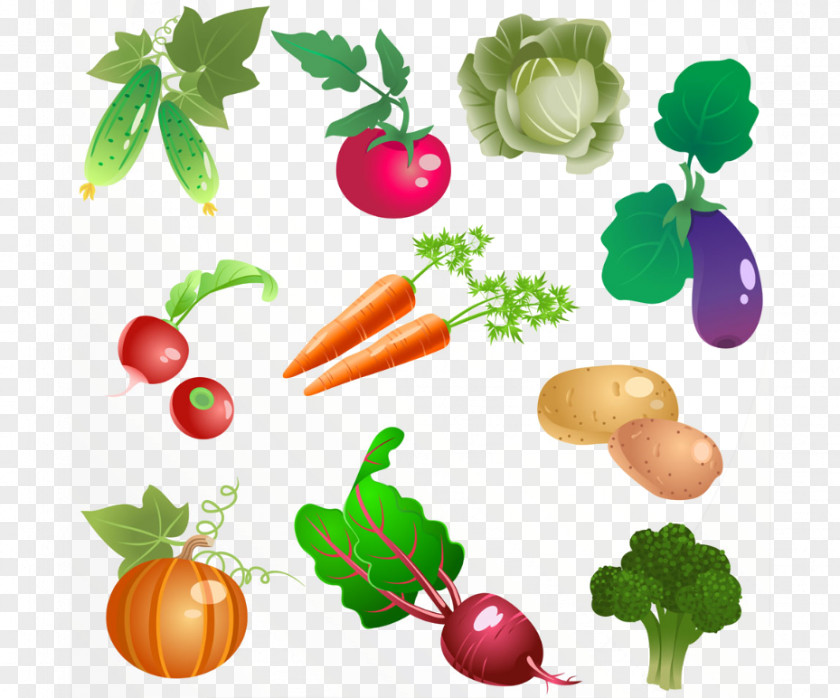 Vegetable Vector Icon PNG