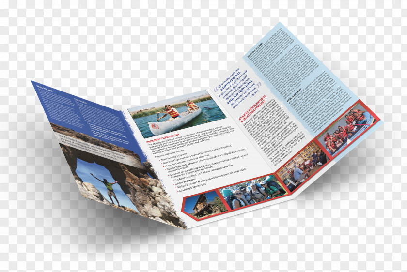 Brochure Printing Flyer Organization PNG