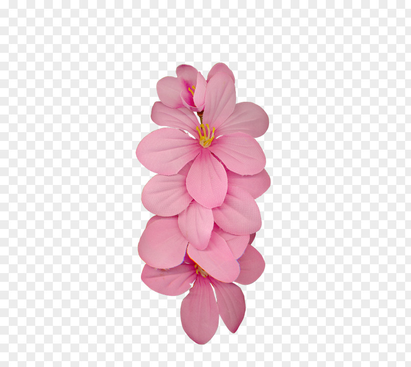 Cherry Blossom Dahlia Cut Flowers Petal PNG