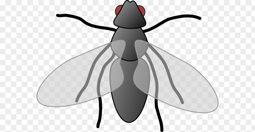 Flies Cliparts Fly Free Content Royalty-free Clip Art PNG