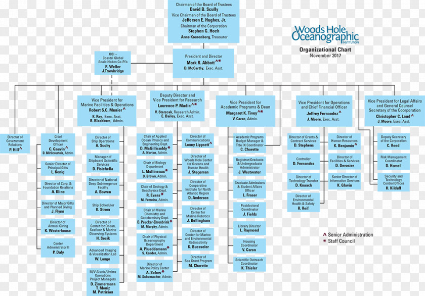 Organization Chart Organizational Structure Business PNG