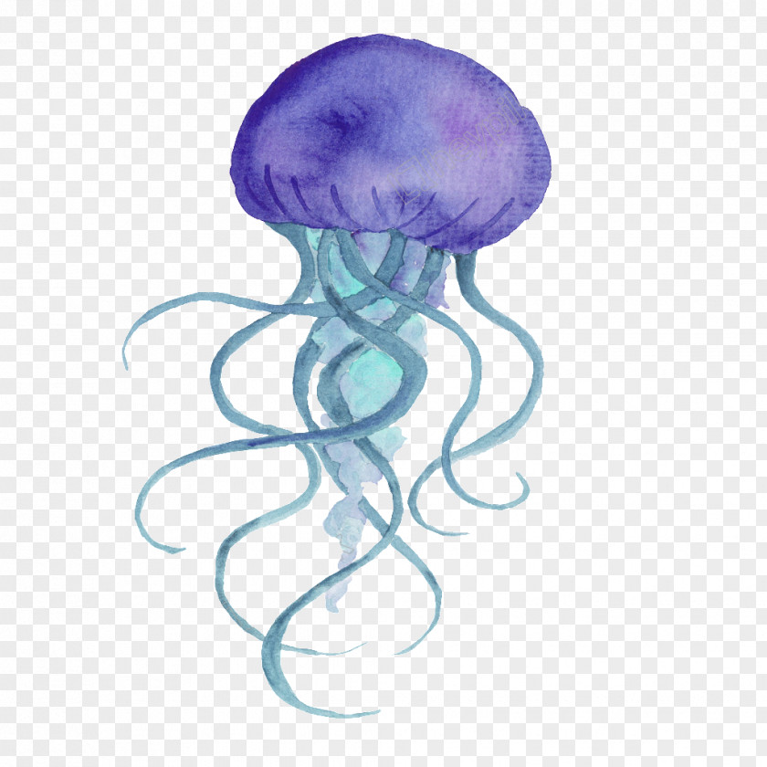 Watercolor Watermark Jellyfish Painting Vector Graphics Image PNG