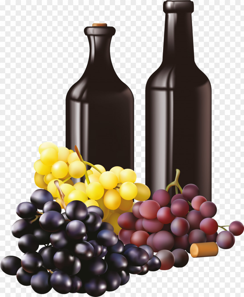 Wine Red Common Grape Vine PNG