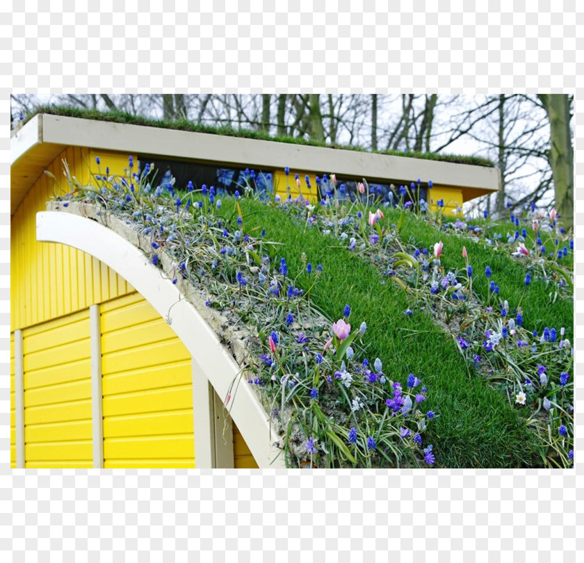 Green Roof Garden Greenhouse PNG
