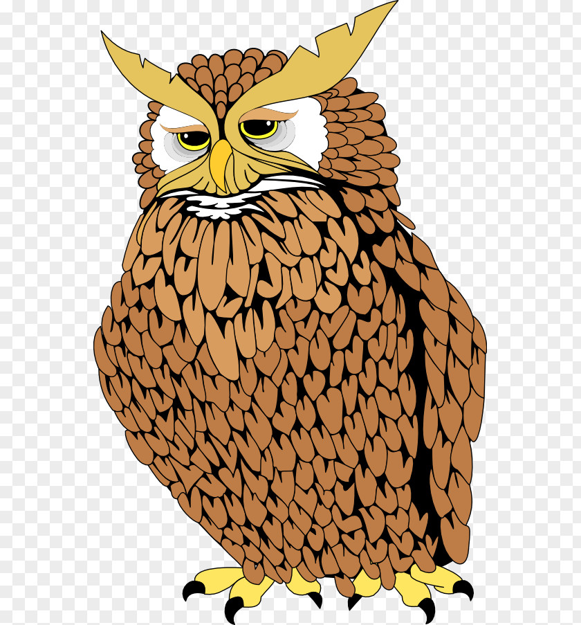 Owl Tecolote Animaatio Clip Art PNG