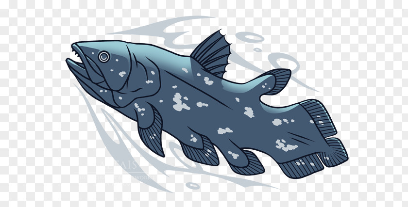 Shark Porpoise Cartoon PNG