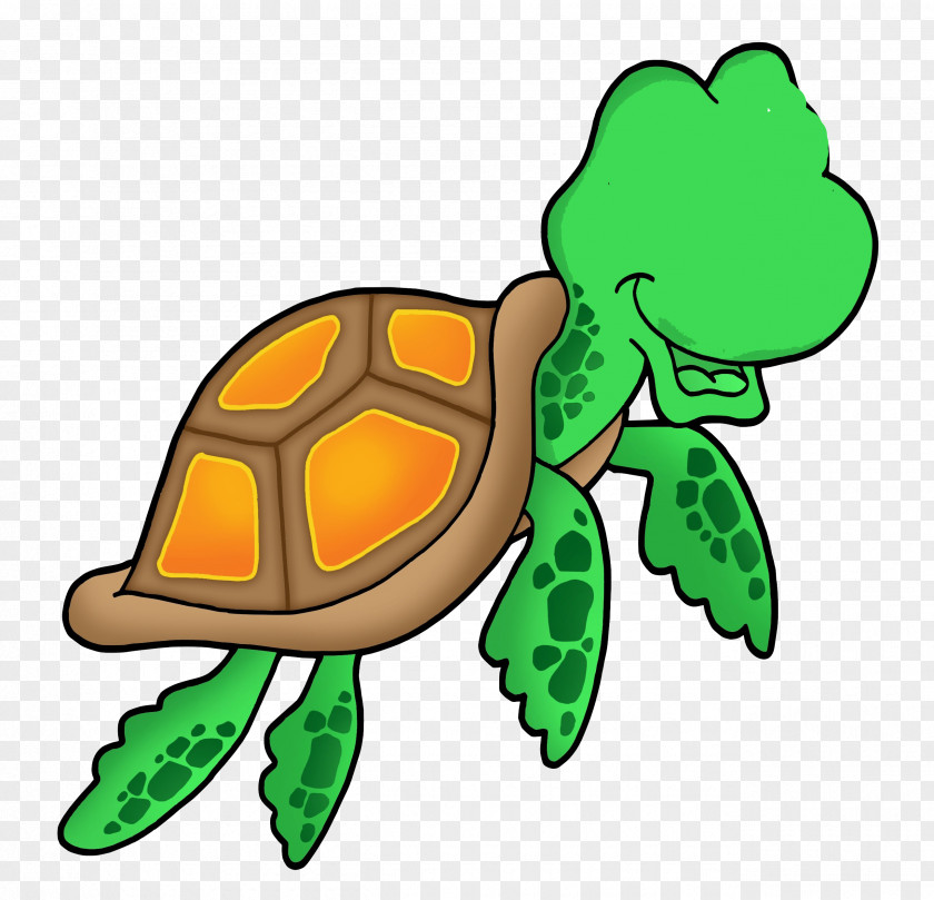 Ali Zafar Green Sea Turtle Illustration PNG