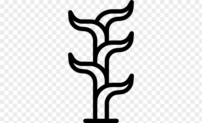 Aloe Vector Plant Clip Art PNG