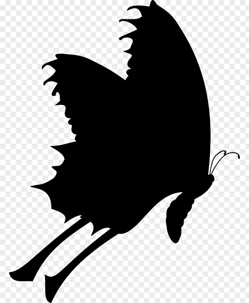 Cat Clip Art Character Silhouette Beak PNG