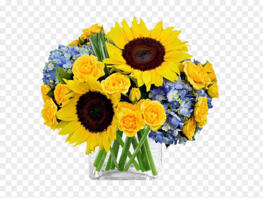 Flower Common Sunflower Floral Design Cut Flowers Bouquet Floristry PNG