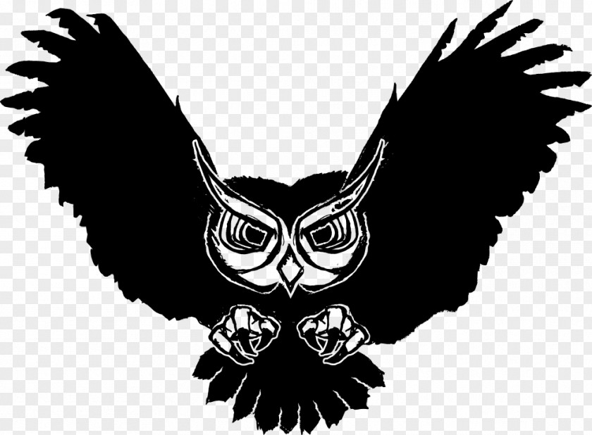 Free Owl Graphics Bird Clip Art PNG