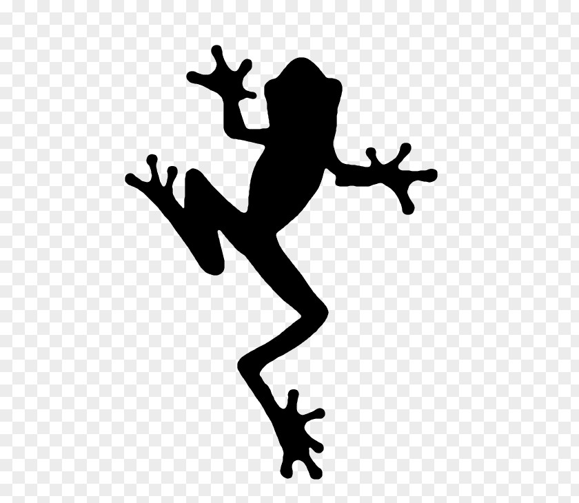 Leaping Frog Silhouette Clip Art PNG