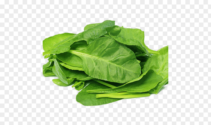 Spinach Organic Food Salad Nutrient Leaf Vegetable PNG
