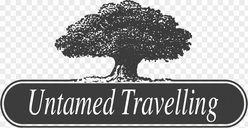 Travel Untamed Travelling Agent Pośrednik Turystyczny TUI Group PNG