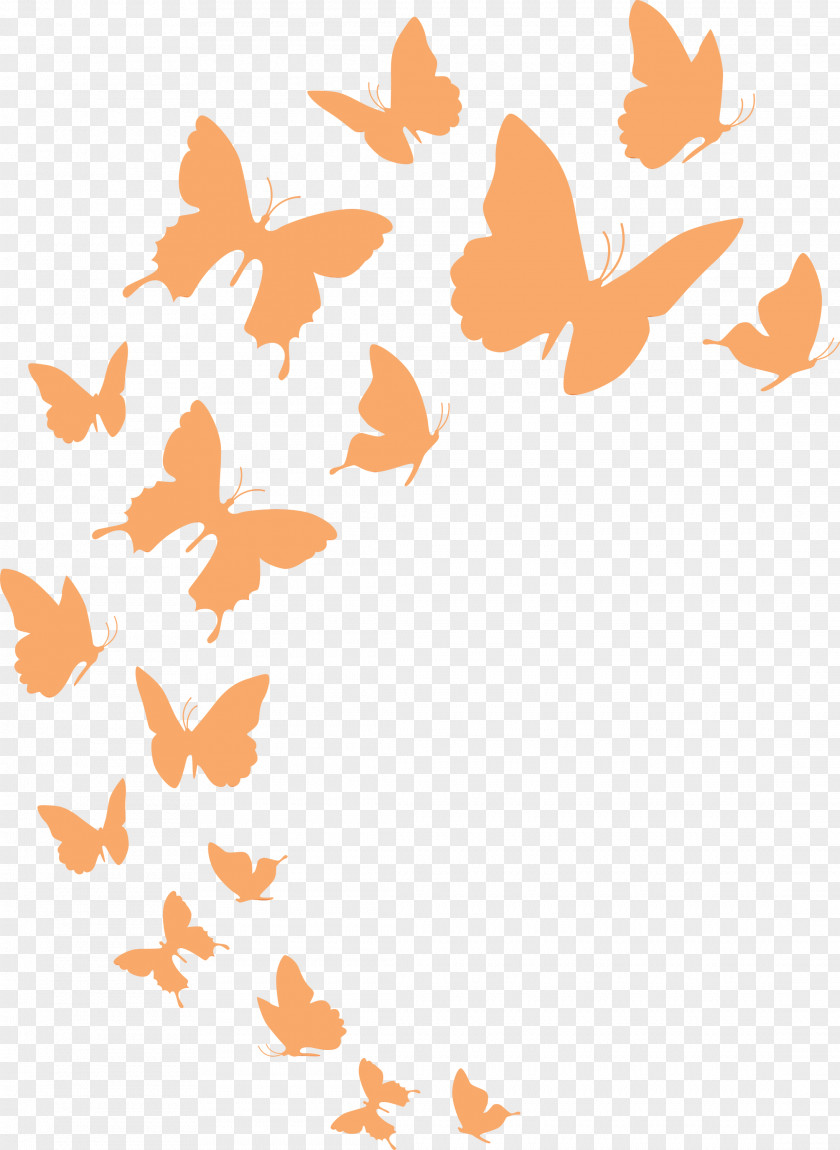 Angle Line Point Butterflies Pattern PNG