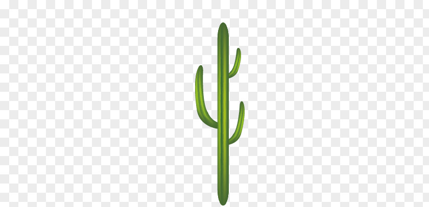 Cactus Logo Pattern PNG