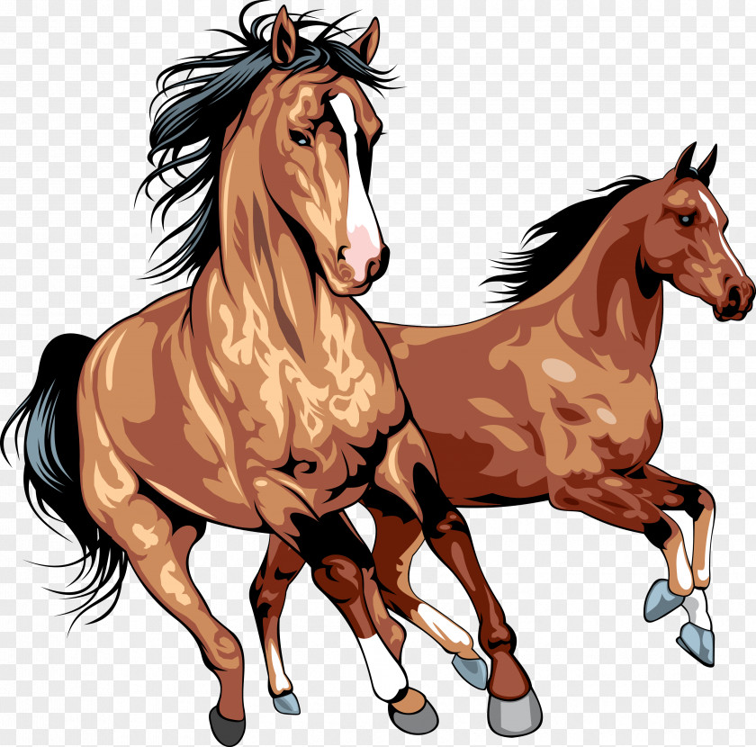 Horse Clip Art PNG