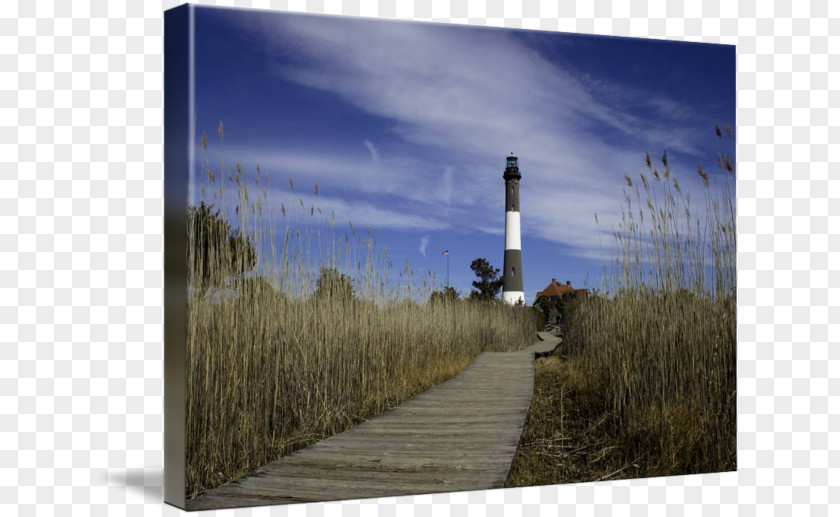 Keith Urban Fire Island Lighthouse Gallery Wrap Inlet Canvas PNG