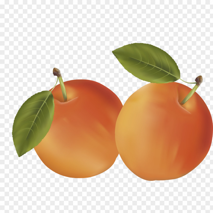 Peaches Clementine Mandarin Orange Auglis Fruit PNG