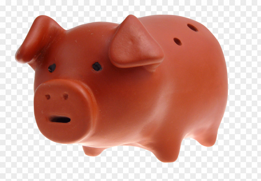 Pig Snout Piggy Bank PNG