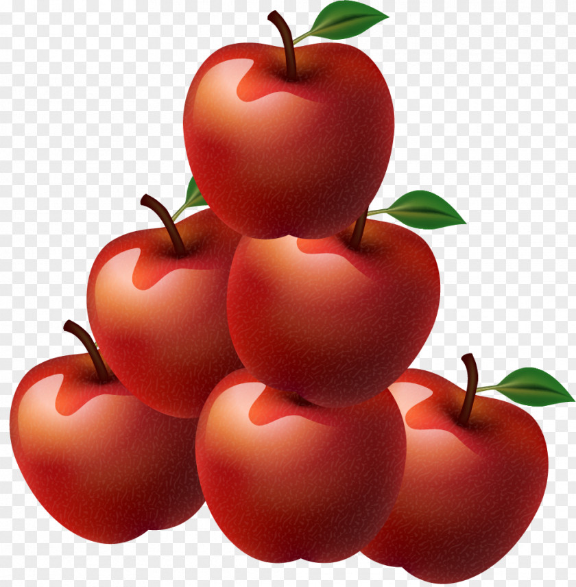 Red Delicious Apple Bush Tomato Barbados Cherry Vegetarian Cuisine Cranberry PNG
