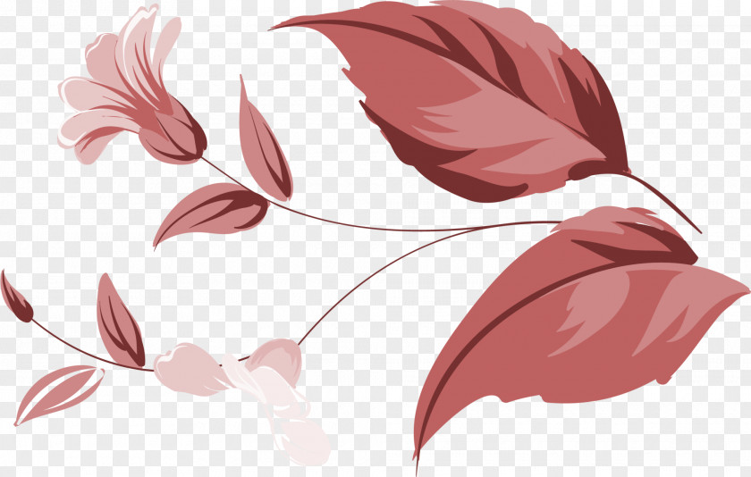 Simple Coffee Flower Petal PNG